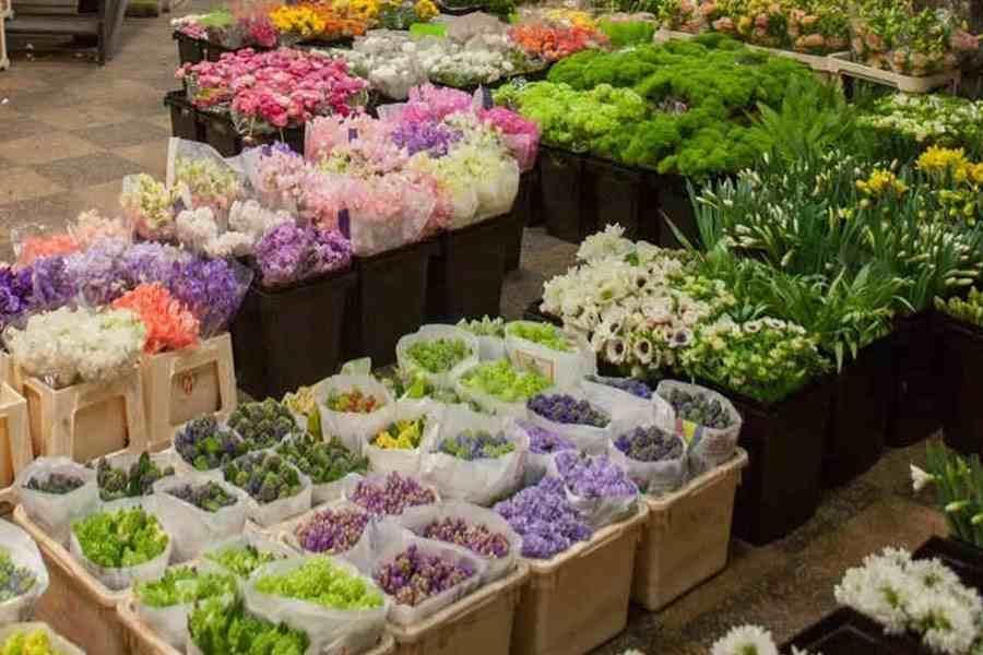 Why it is recommended to use non woven flower wrapping? 4 Non Woven Wrapping Materials