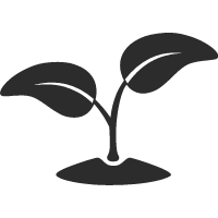 About Us 9 Garden Nursery