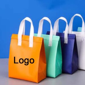 Insulated Non Woven Lunch Bag